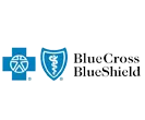 Blue Cross Blue Shield