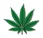 Cape Cod Cannabis Recreational Dispensary in Wellfleet, MA