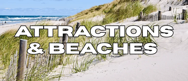 Local Wellfleet, MA Attractions and Beaches near Cape Cod Cannabis in Wellfleet, MA