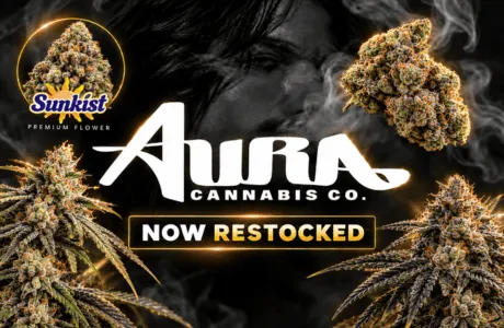 Cape Cod Cannabis Recreational Dispensary in Wellfleet, MA