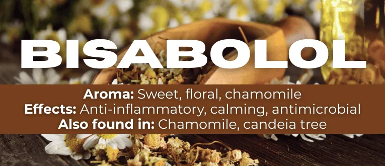 Shop Bisabolol Terpenes at Cape Cod Cannabis in Wellfleet, MA
