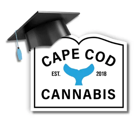 Cannabis 101: A Beginner's Guide to Cannabis from Cape Cod Cannabis in Wellfleet, MA