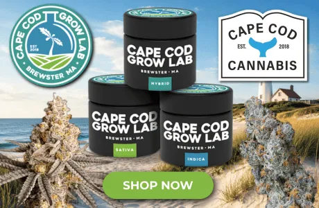 Cape Cod Cannabis Recreational Dispensary in Wellfleet, MA