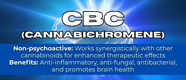 Shop CBC Cannabinoids at Cape Cod Cannabis in Wellfleet, MA