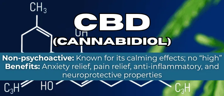 Shop CBD Cannabinoids at Cape Cod Cannabis in Wellfleet, MA