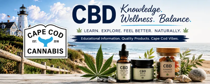 What is CBD? A Beginner's Guide