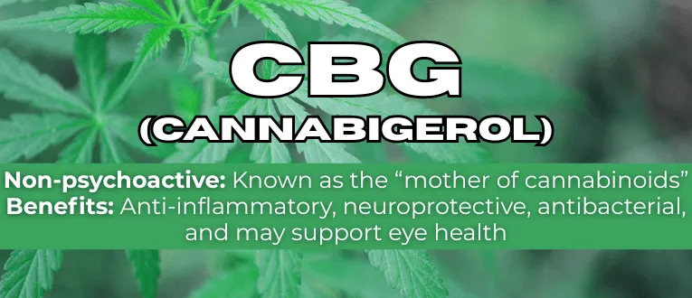 Shop CBG Cannabinoids at Cape Cod Cannabis in Wellfleet, MA