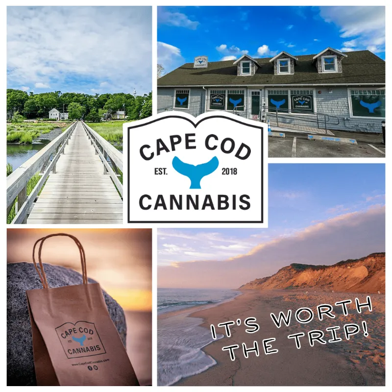 Your Cape Cod Summer Guide 2025: Cape Cod Cannabis Dispensary in Wellfleet, MA