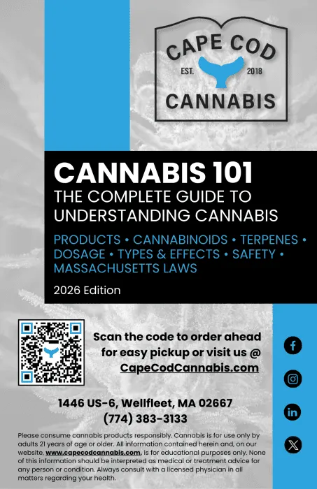 Cannabis 101 - The Complete Guide to Understanding Cannabis by Cape Cod Cannabis in Wellfleet!