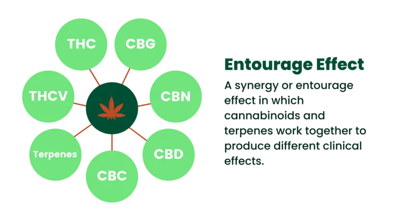 High THC and the Entourage Effect
