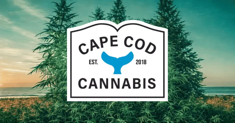 Shop cannabis flower at Cape Cod Cannabis Dispensary near me on Cape Cod in Wellfleet, MA