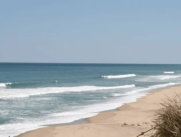 Cape Cod Cannabis Recreational Dispensary in Wellfleet, MA