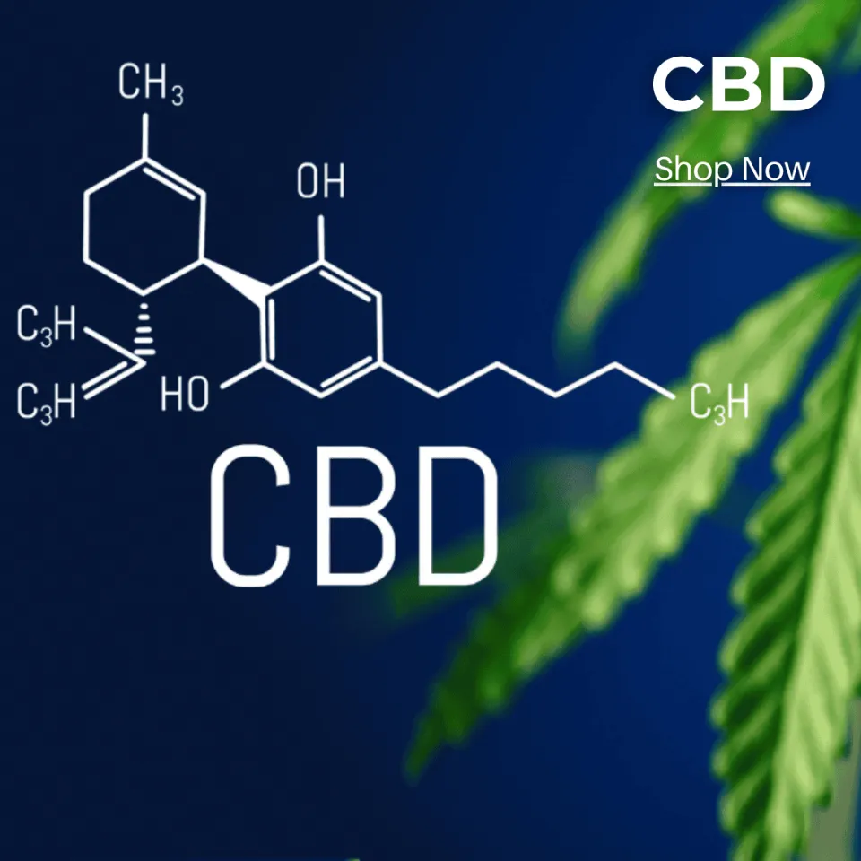 Shop CBD at Cape Cod Cannabis in Wellfleet, MA