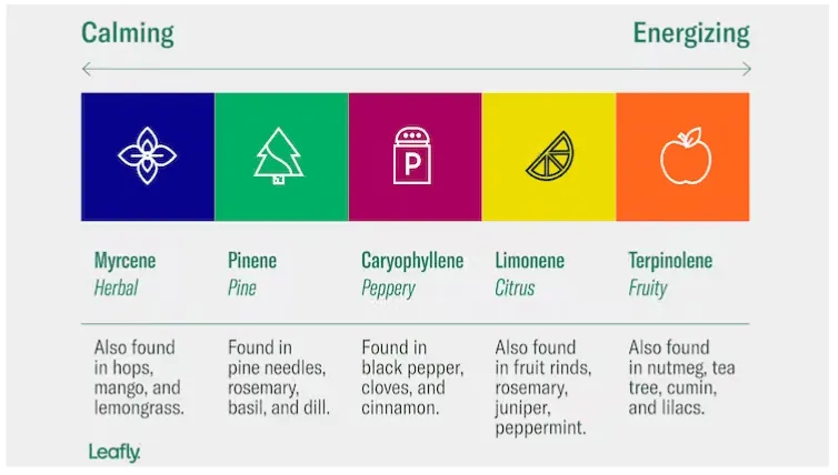 Terpene Chart provided by Leafly