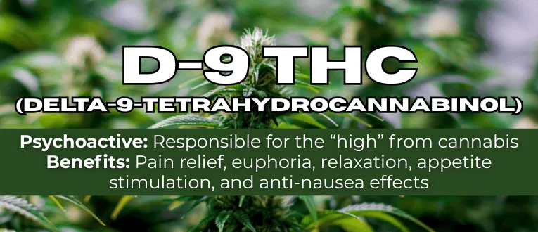 THC-D9 (Delta 9–tetrahydrocannabinol)