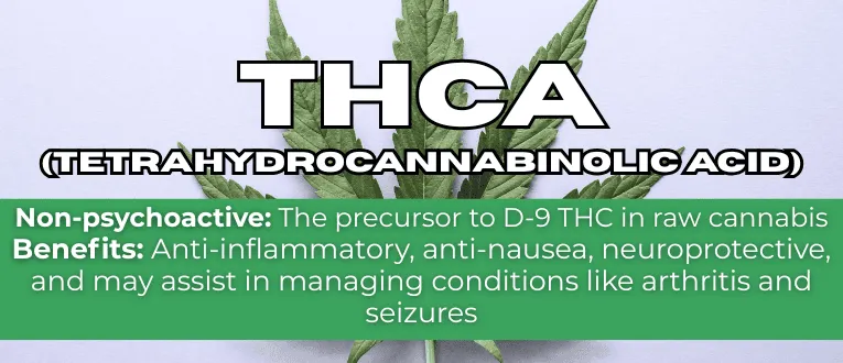 THCA (Δ9-tetrahydrocannabinolic acid)