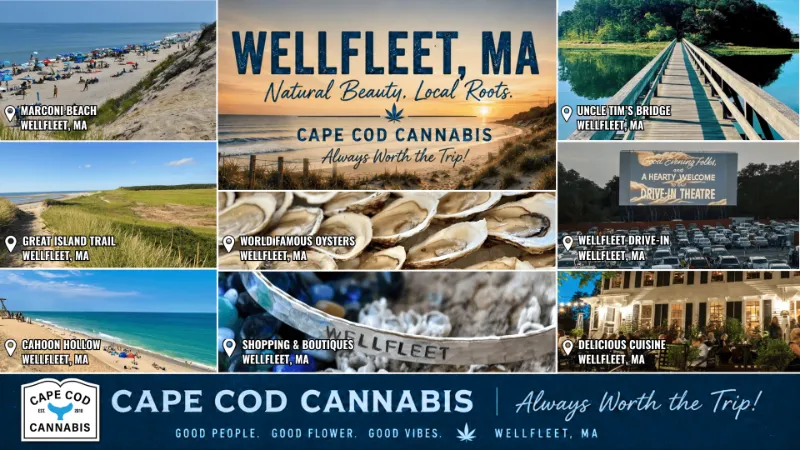 Things to Do in Wellfleet, MA and stop by Cape Cod Cannabis on your way, located in the Rt. 6 South Wellfleet Shopping Plaza!