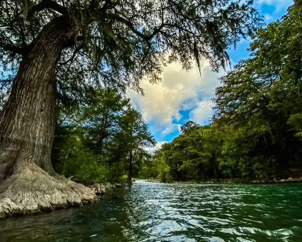 Scenic view of the Guadalupe River in Texas