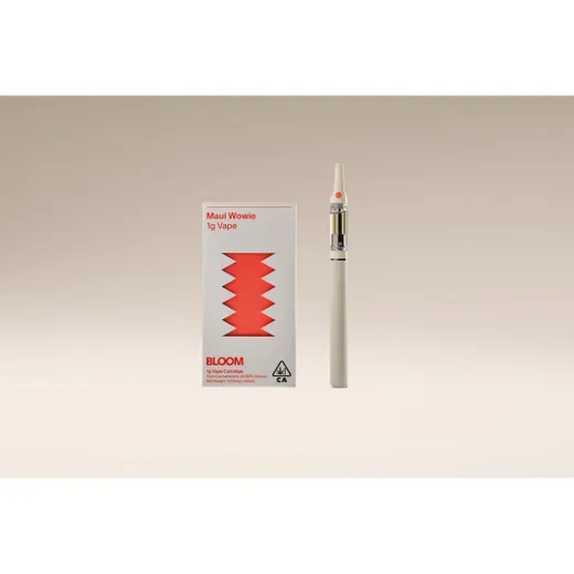 MAUI WOWIE CARTRIDGE 1G B6