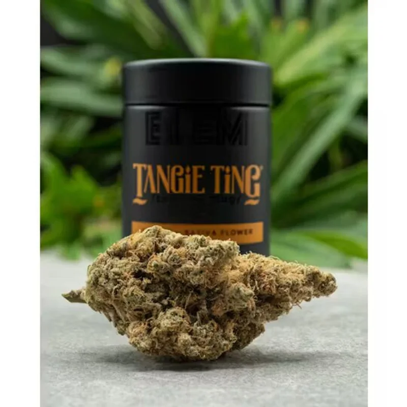 TANGIE TING 3.5G Q1