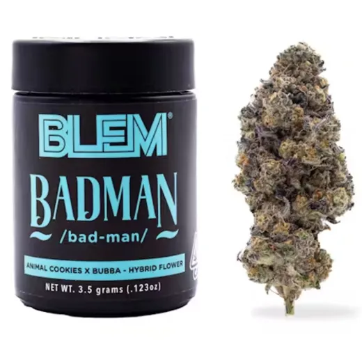 BADMAN 3.5G J3