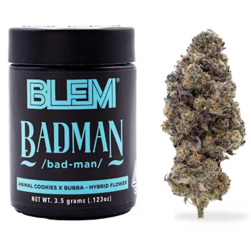 BADMAN 3.5G J3