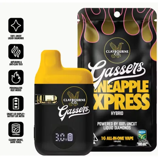 GASSERS PINEAPPLE EXPRESS DISPOSABLE 1G d6